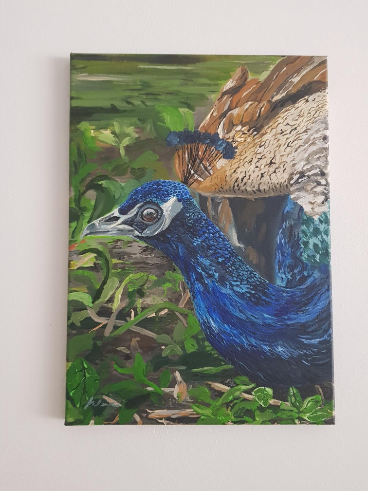 Acrylic painting of peacock
